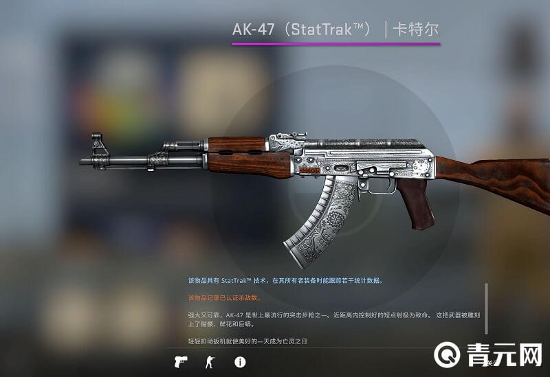 充值csgo可以买武器皮肤