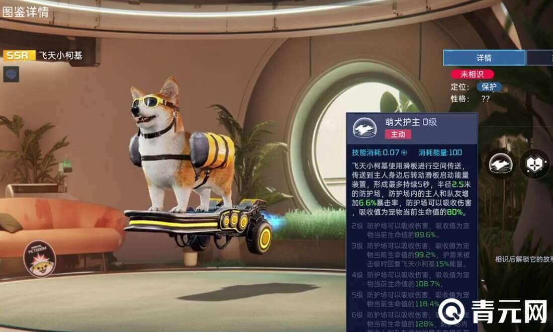 星球重启飞天小柯基保护能力强