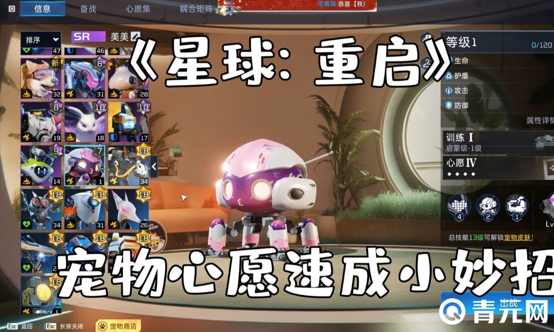星球重启烈焰小浣熊输出能力强