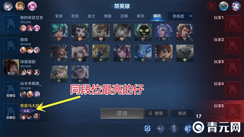 王者荣耀全能选手