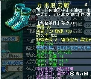 万里追云覆耐久度有520