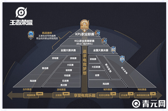 王者荣耀职业联赛