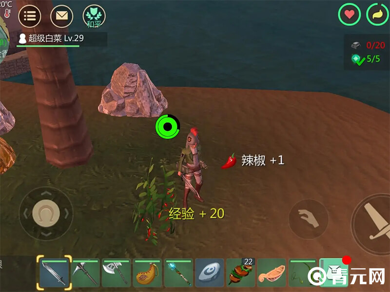 创造与魔法辣椒种野外采集位置