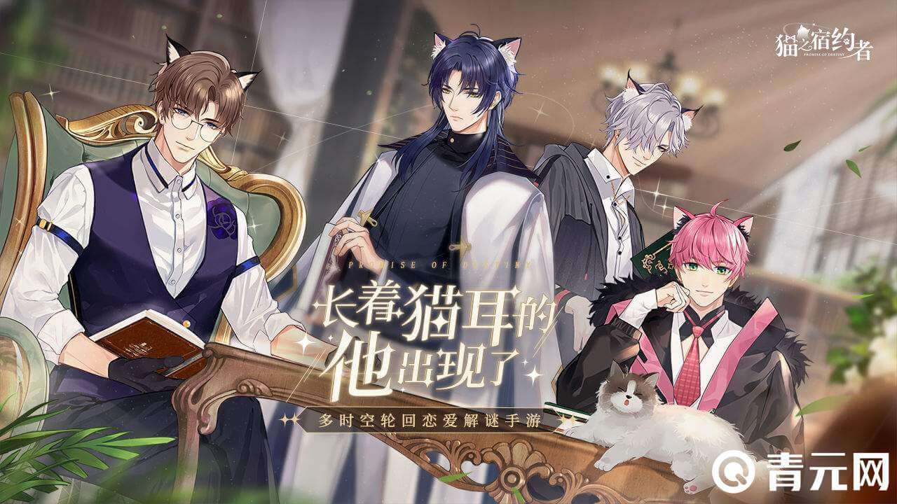 猫之宿约者拾光漫漫活动