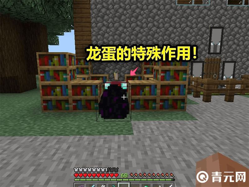 驯化末影龙_我的世界手机版末影龙怎么驯服_末影龙驯服后怎么飞