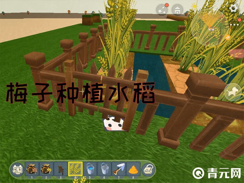 迷你世界水稻种植