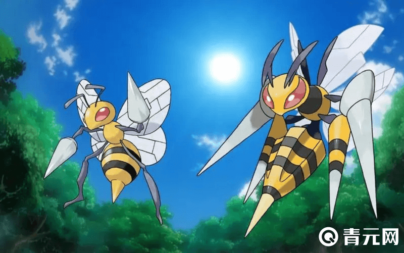 大针蜂是虫系宝可梦