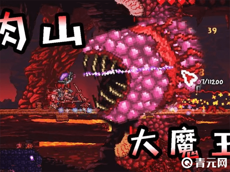 泰拉瑞亚肉山