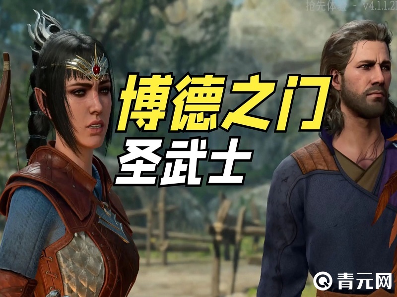 圣武士是博德之门3最强职业