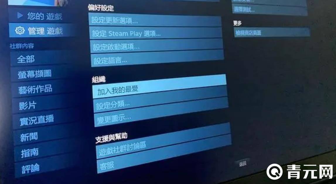 steam设置界面