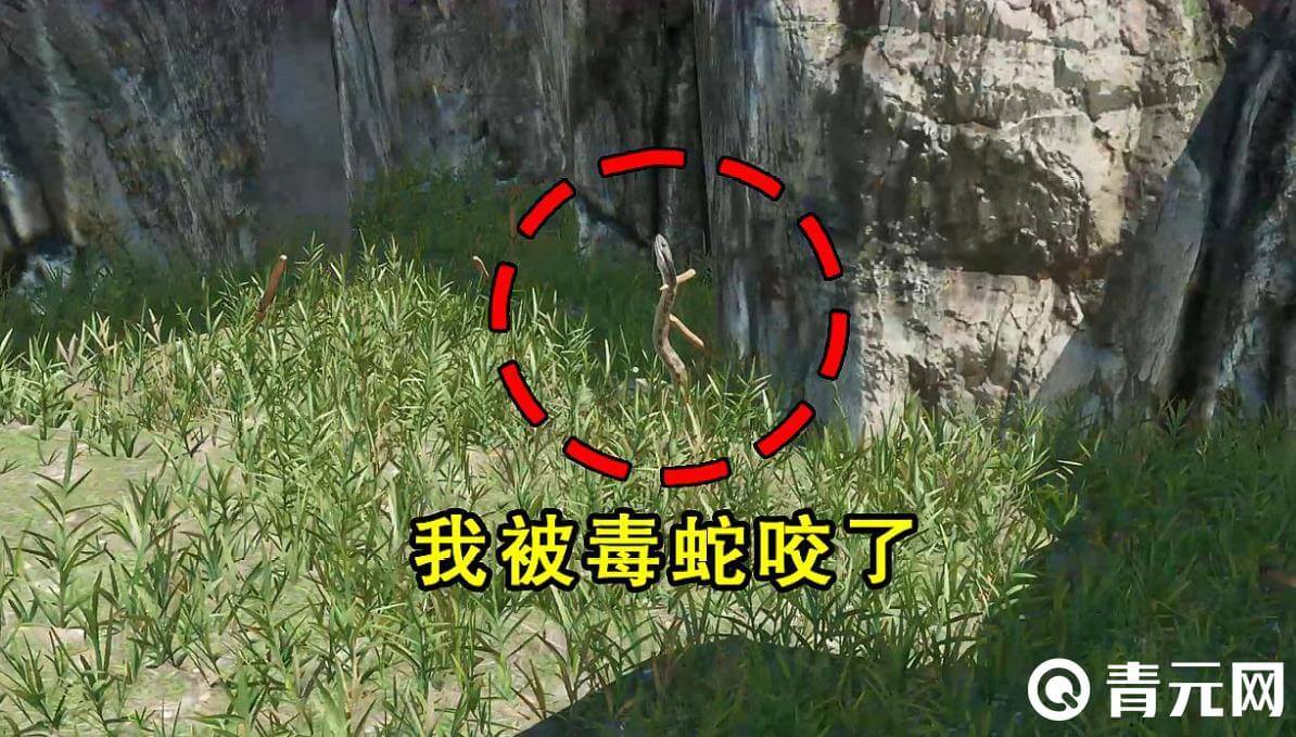 荒岛生存被蛇咬伤