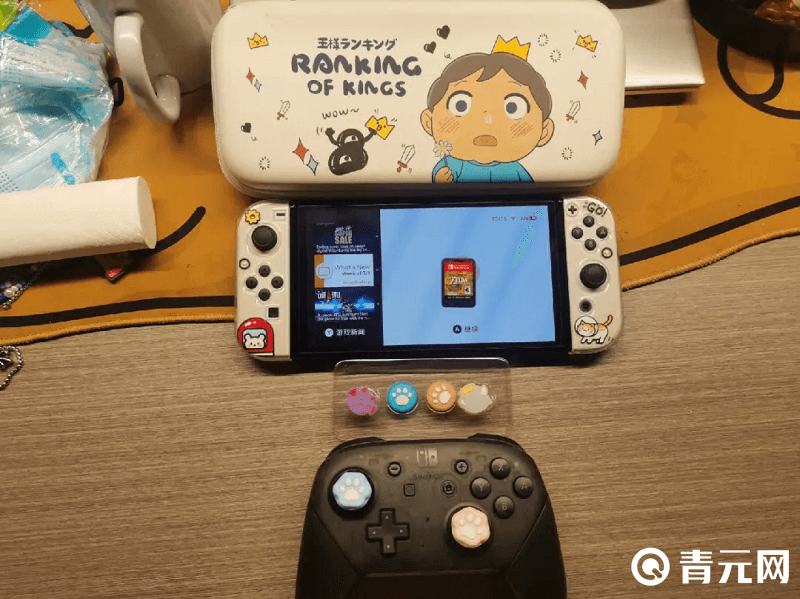 switch内有单机游戏
