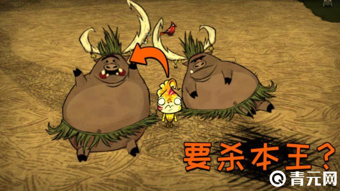 饥荒猪王最强大