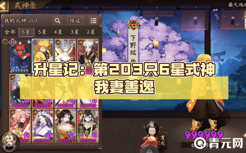 第203只6星式神我妻善逸