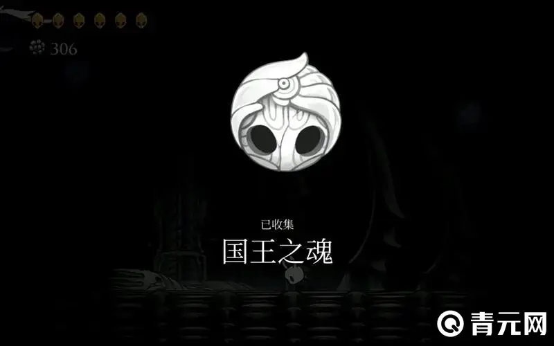 空洞骑士国王之魂