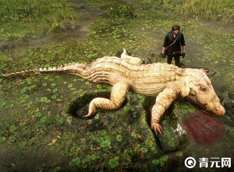 在沼泽找到荒野大镖客2传说鳄鱼