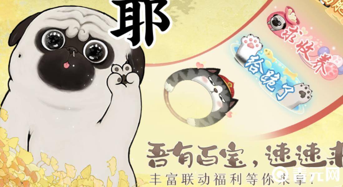 秋田犬在公子府出没
