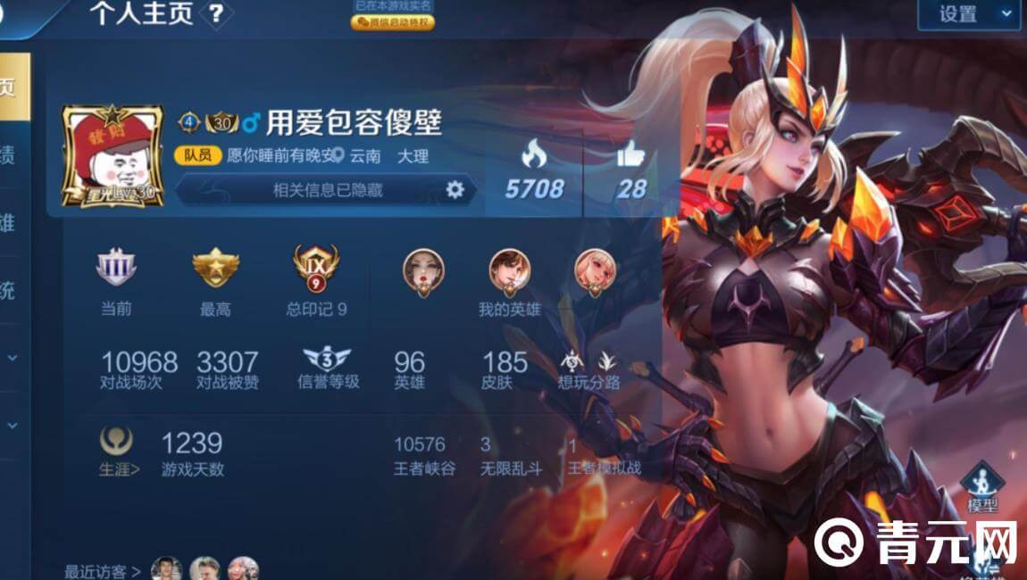 王者荣耀玩家都需要ID