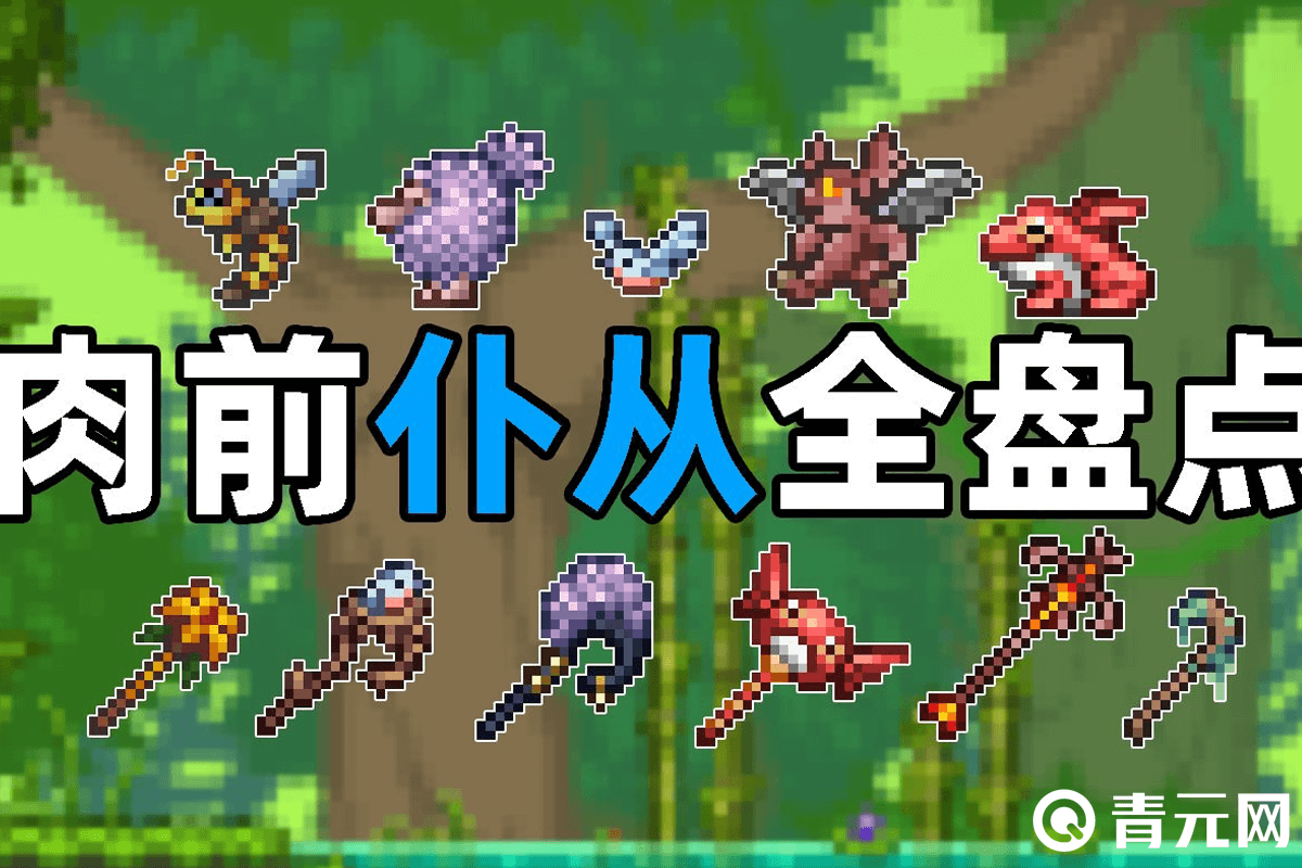 泰拉瑞亚肉前仆从全盘点
