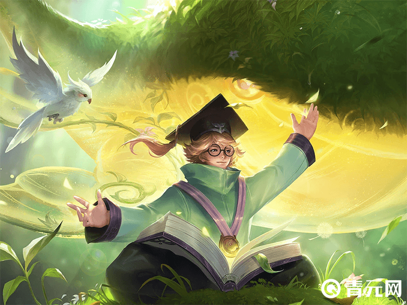 奇妙博物学是庄周的勇者皮肤