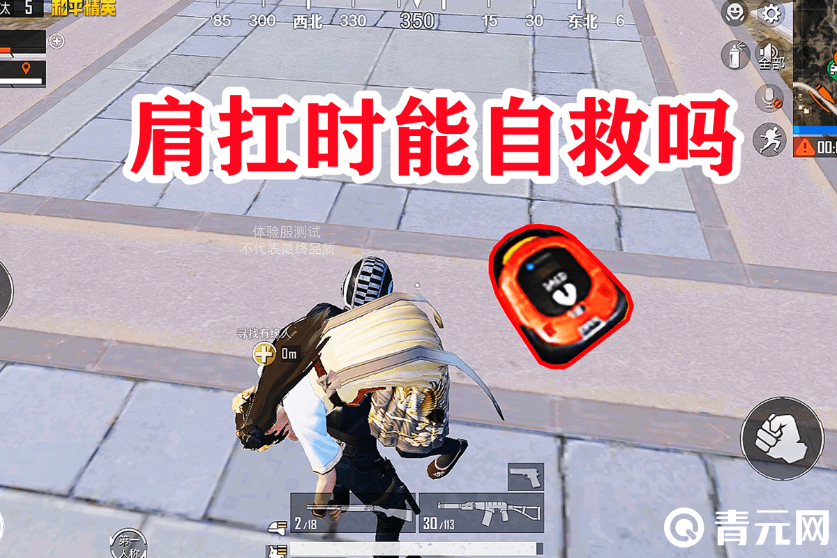和平精英肩抗自救型