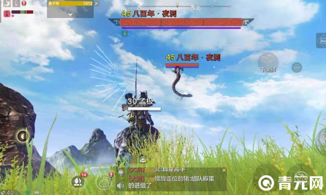 妄想山海万年战宠实力强大
