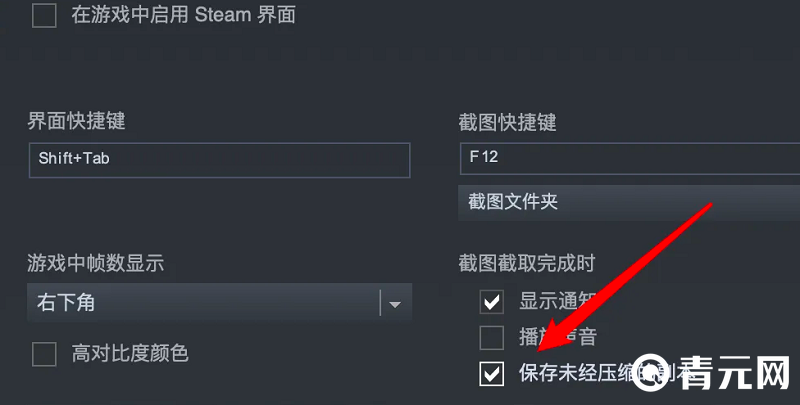 steam截图快捷键是F12