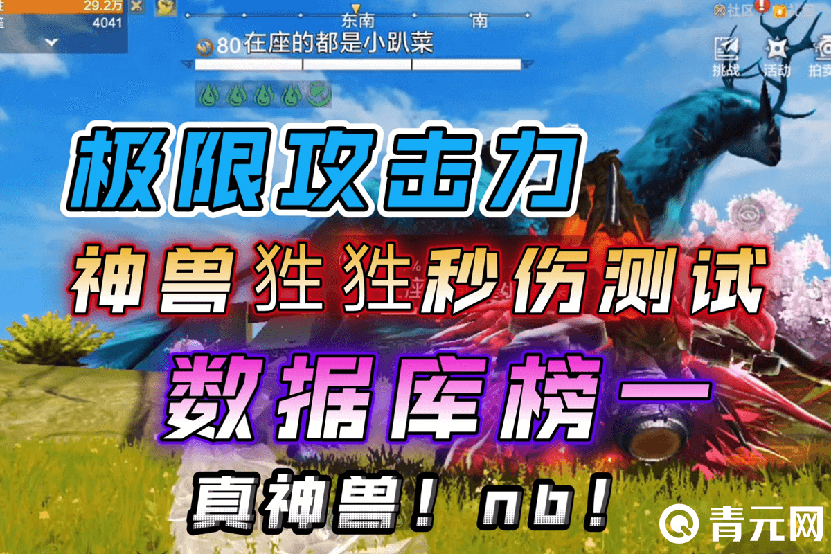 神兽狌狌极限秒伤数据测试