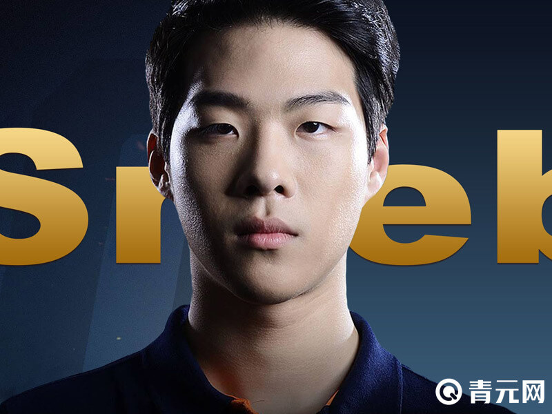 Smeb个人资料