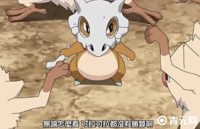可拉可拉在不同地区进化的形态也不同