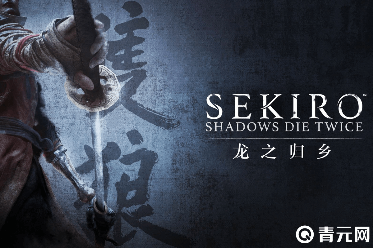 只狼龙之还乡结局海报