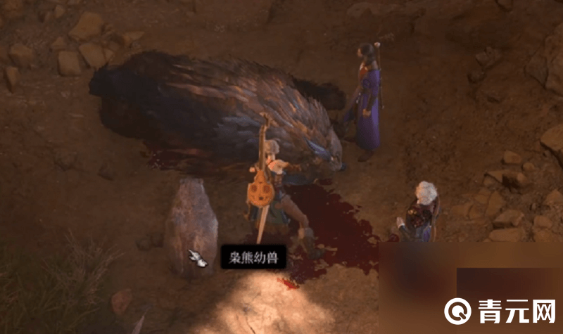 杀死成年枭熊