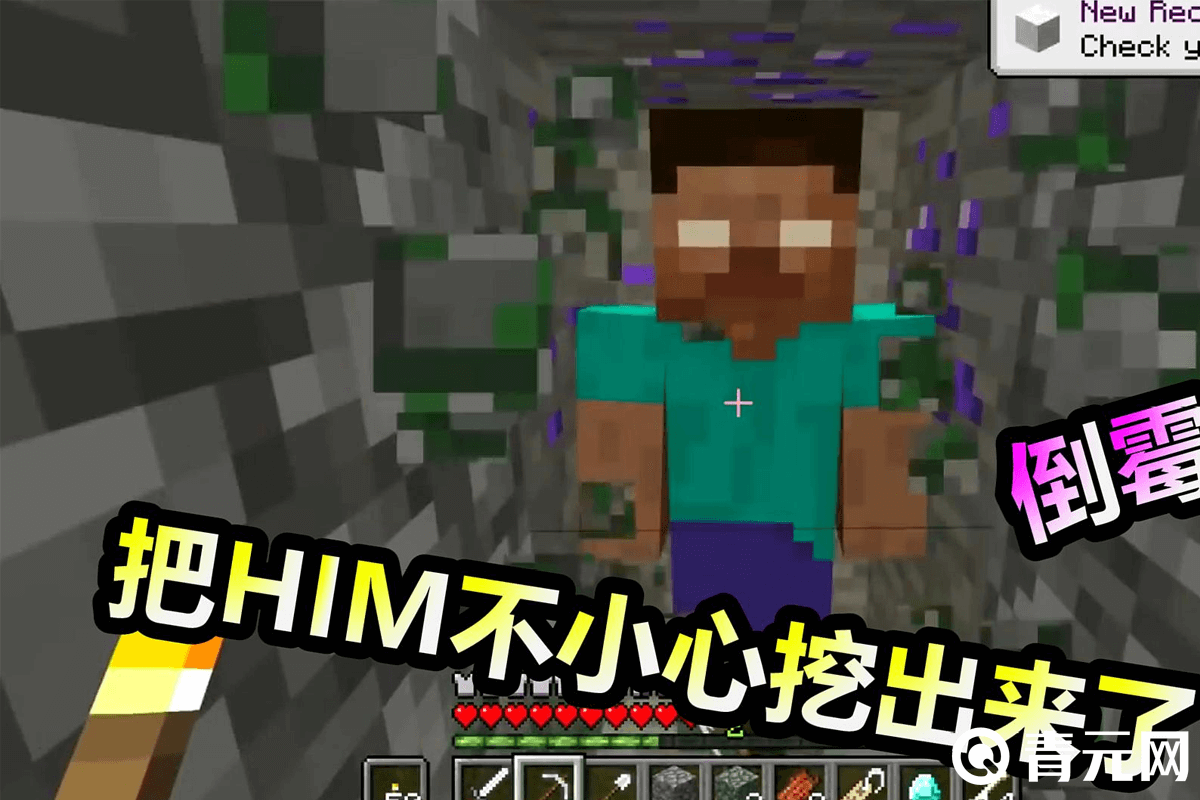 mc玩家不小心挖到him