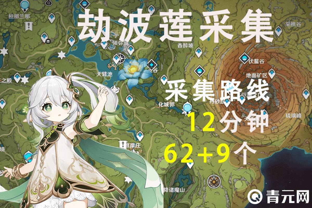 劫波莲12分钟采集71个