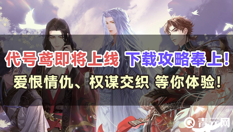 代号鸢即将上线