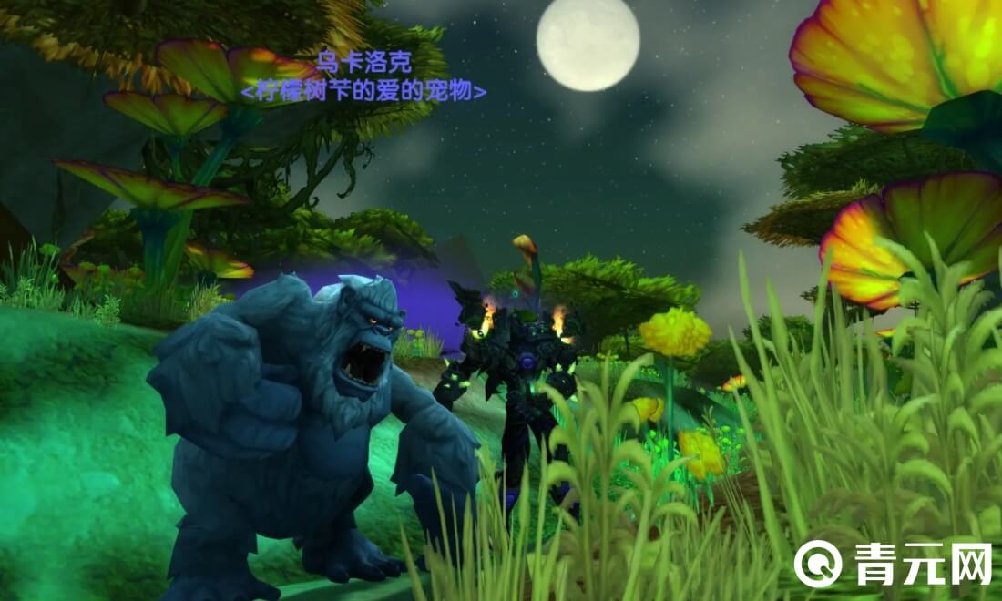 魔兽宠物对战能升级