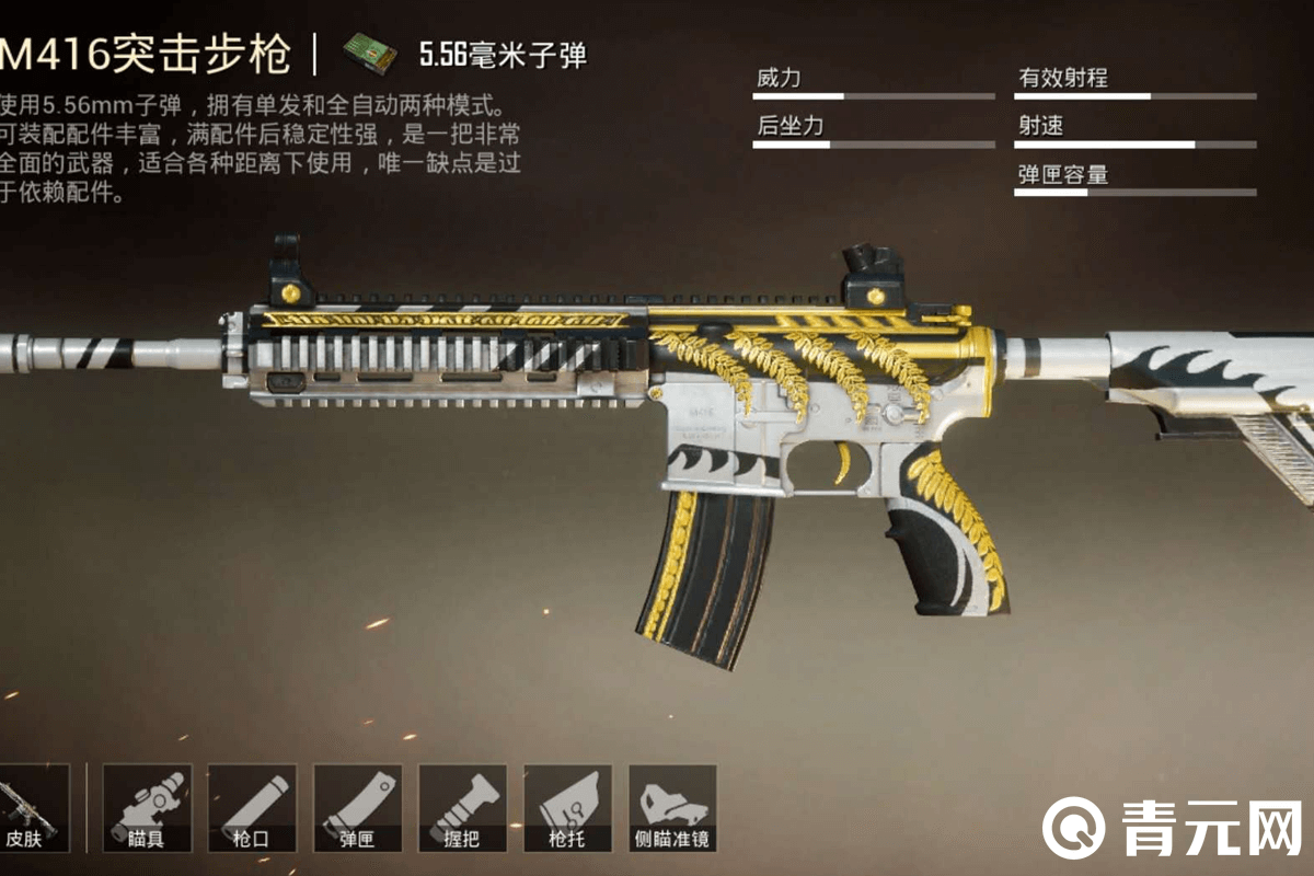 团队竞技仓库常用步枪M416