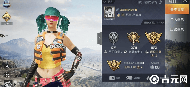 和平精英稀有id