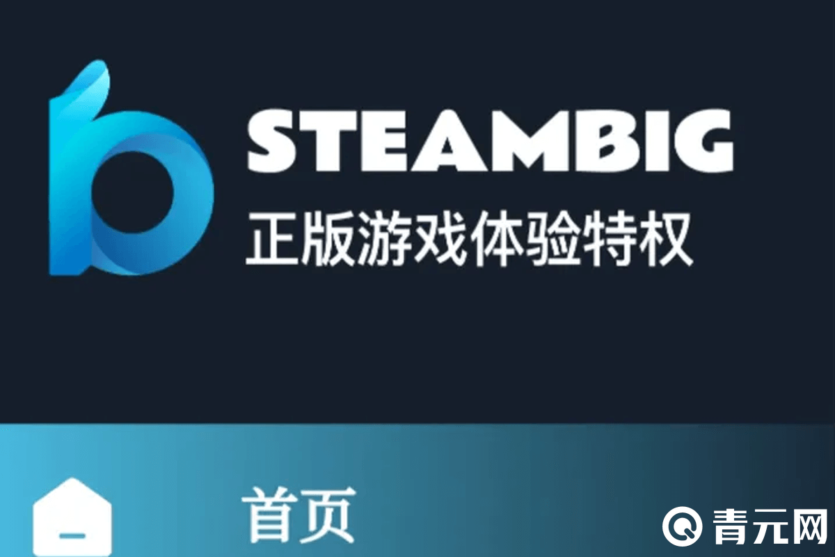 steambig网站虚假宣传