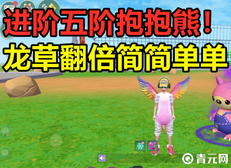 五阶抱抱熊龙草翻倍