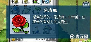 带上一支玫瑰
