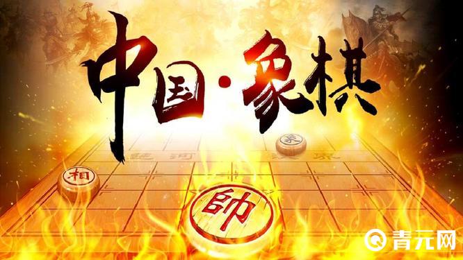 中国象棋每个棋子的走法都不同